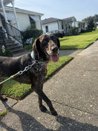 Annabell (New Orleans)