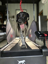 Load image into Gallery viewer, Libby (New Braunfels)