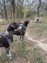 Load image into Gallery viewer, Birdie (San Antonio)