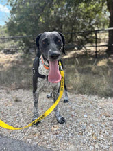 Load image into Gallery viewer, Libby (New Braunfels)