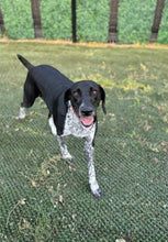 Load image into Gallery viewer, Libby (New Braunfels)