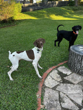 Load image into Gallery viewer, Woody (Tyler)