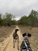 Load image into Gallery viewer, Birdie (San Antonio)