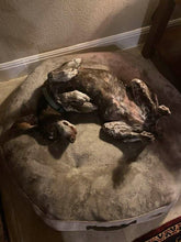 Load image into Gallery viewer, Birdie (San Antonio)