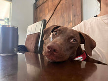 Load image into Gallery viewer, Fritzy (Austin)