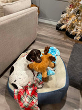 Load image into Gallery viewer, Reece (Cumby, TX) CourtesyPost