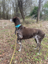 Load image into Gallery viewer, Birdie (San Antonio)