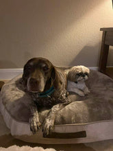 Load image into Gallery viewer, Birdie (San Antonio)