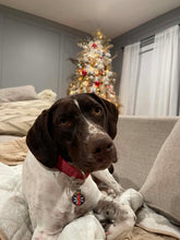 Load image into Gallery viewer, Reece (Cumby, TX) CourtesyPost