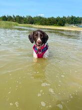 Load image into Gallery viewer, Reece (Cumby, TX) CourtesyPost