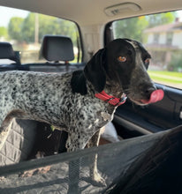 Load image into Gallery viewer, Lucy - Courtesy Post (Van Alstyne, TX)