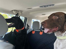 Load image into Gallery viewer, Woody (Tyler)