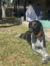 Load image into Gallery viewer, Libby (New Braunfels)