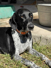 Load image into Gallery viewer, Libby (New Braunfels)