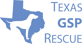 German Shorthaired Pointer Rescue of North Texas, Inc., doing business as Texas GSP Rescue, is a 501(c)(3) non-profit that places abandoned GSPs in safe, loving homes. We are not a shelter and have no kennel facility. Any dog taken in by our program must 