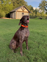 Load image into Gallery viewer, Nyah (College Station)