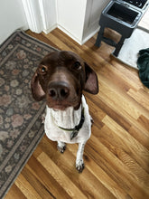 Load image into Gallery viewer, Woody (Tyler)